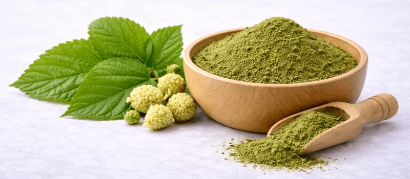 InsuLeaf  ingrediant