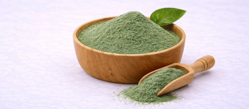 InsuLeaf  ingrediant